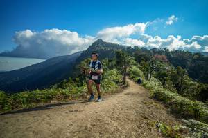 BIB: 5148
                            <button type="button" onclick="openModal(16025135)" class="btn btn-primary btn-sm float-right btn-popup" data-toggle="modal" data-target=".modal-high-quality">
                        <i class="fas fa-shopping-cart"></i> Add to Cart
                    </button>
                                            <button type="button" onclick="isThisMe(16025135, true)" class="btn btn-success btn-sm float-right btn-popup btn-isme hidden" data-toggle="tooltip" data-placement="bottom" title="นี่คือรูปของคุณใช่ไหม คลิกที่นี่เพื่อเอาเข้าอัลบั้ม">
                        <i class="fas fa-plus"></i> Add to album
                    </button>
                    <button type="button" onclick="isThisMe(16025135, false)" class="btn btn-warning btn-sm float-right btn-popup btn-isnotme hidden">
                        <i class="fas fa-ban"></i> Remove from album
                    </button>